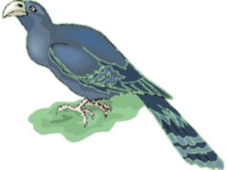 Sticker Custom Preview Image #016239 Animals Birds Bird197