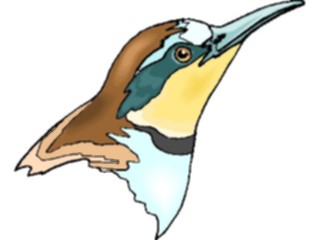 Sticker Custom Preview Image #016242 Animals Birds Bird200
