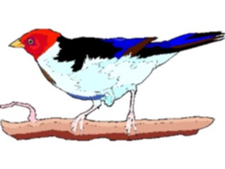 Sticker Custom Preview Image #016245 Animals Birds Bird203