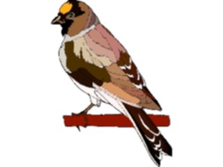 Sticker Custom Preview Image #016247 Animals Birds Bird205