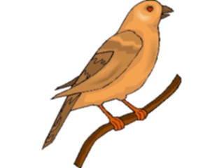 Sticker Custom Preview Image #016250 Animals Birds Bird208