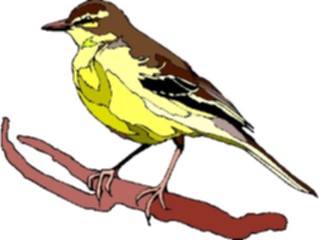 Sticker Custom Preview Image #016251 Animals Birds Bird209