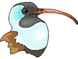 Sticker Custom Preview Image #016257 Animals Birds Bird215