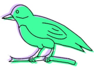 Sticker Custom Preview Image #016261 Animals Birds Bird219