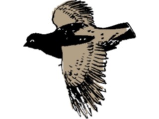 Sticker Custom Preview Image #016263 Animals Birds Bird221