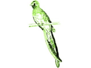 Sticker Custom Preview Image #016271 Animals Birds Bird229