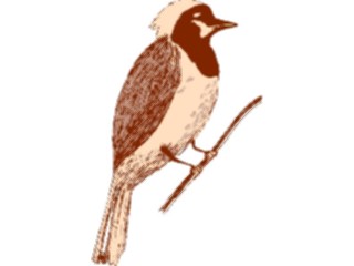 Sticker Custom Preview Image #016274 Animals Birds Bird232