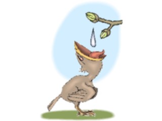 Sticker Custom Preview Image #016288 Animals Birds Bird Feeding