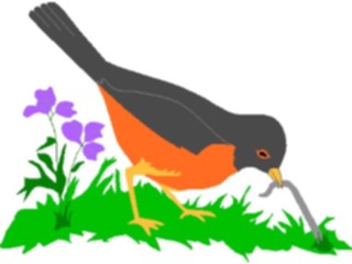 Sticker Custom Preview Image #016297 Animals Birds Bird Getting Worm1
