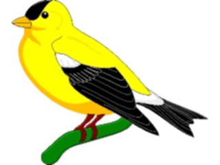 Sticker Custom Preview Image #016308 Animals Birds Bird Perched02