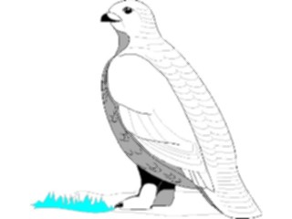 Sticker Custom Preview Image #016309 Animals Birds Bird Perched03
