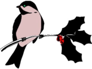 Sticker Custom Preview Image #016316 Animals Birds Bird Perched10