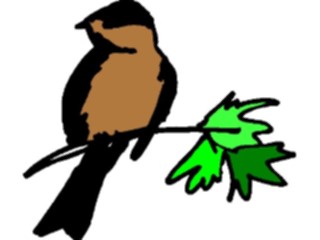 Sticker Custom Preview Image #016318 Animals Birds Bird Perched12