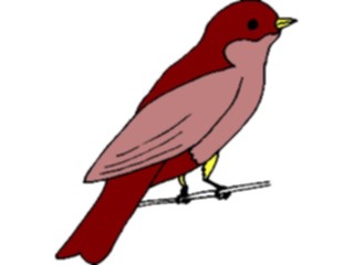 Sticker Custom Preview Image #016319 Animals Birds Bird Perched13