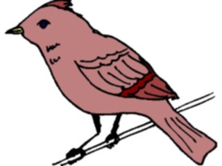 Sticker Custom Preview Image #016326 Animals Birds Bird Perched20