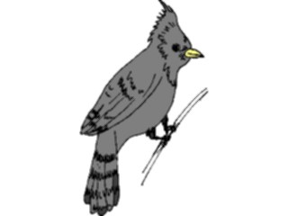 Sticker Custom Preview Image #016327 Animals Birds Bird Perched21