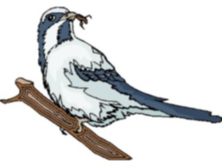 Sticker Custom Preview Image #016337 Animals Birds Bird Perched31