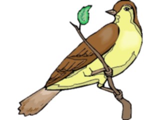 Sticker Custom Preview Image #016340 Animals Birds Bird Perched34