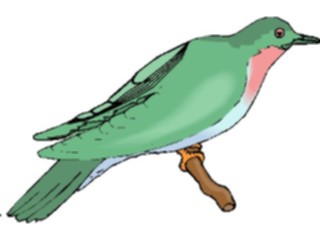 Sticker Custom Preview Image #016342 Animals Birds Bird Perched36