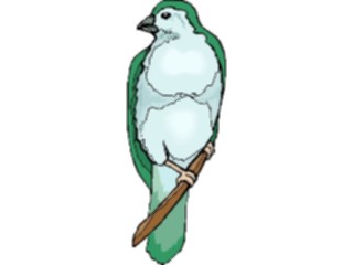 Sticker Custom Preview Image #016344 Animals Birds Bird Perched38