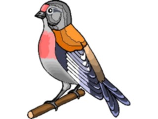 Sticker Custom Preview Image #016348 Animals Birds Bird Perched42