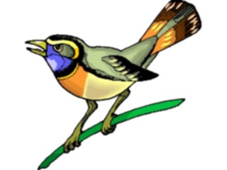 Sticker Custom Preview Image #016351 Animals Birds Bird Perched45