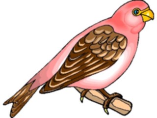 Sticker Custom Preview Image #016354 Animals Birds Bird Perched48