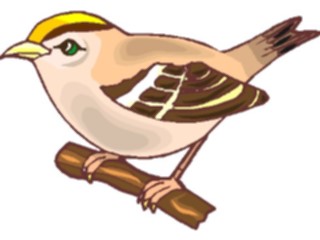 Sticker Custom Preview Image #016358 Animals Birds Bird Perched52