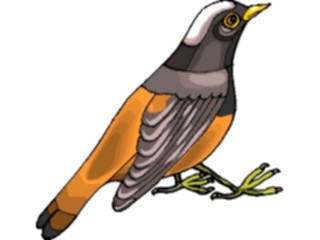 Sticker Custom Preview Image #016359 Animals Birds Bird Perched53
