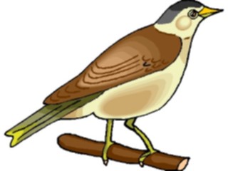 Sticker Custom Preview Image #016360 Animals Birds Bird Perched54
