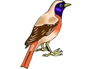 Sticker Custom Preview Image #016361 Animals Birds Bird Perched55