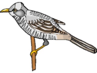 Sticker Custom Preview Image #016365 Animals Birds Bird Perched59