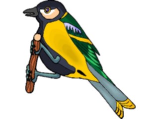Sticker Custom Preview Image #016366 Animals Birds Bird Perched60
