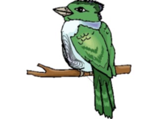 Sticker Custom Preview Image #016370 Animals Birds Bird Perched64