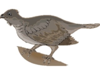 Sticker Custom Preview Image #016371 Animals Birds Bird Perched65