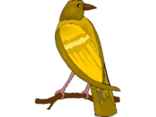 Sticker Custom Preview Image #016372 Animals Birds Bird Perched66