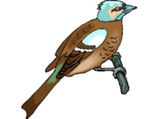 Sticker Custom Preview Image #016378 Animals Birds Bird Perched72