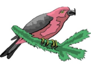Sticker Custom Preview Image #016386 Animals Birds Bird Perched80