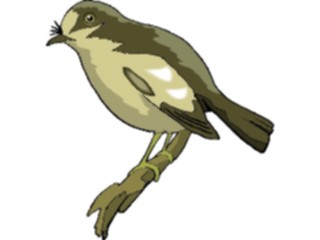 Sticker Custom Preview Image #016387 Animals Birds Bird Perched81