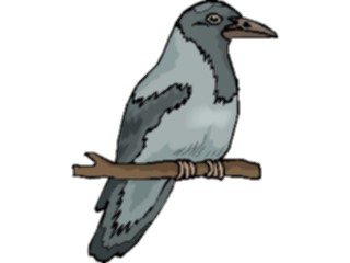 Sticker Custom Preview Image #016388 Animals Birds Bird Perched82