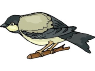 Sticker Custom Preview Image #016390 Animals Birds Bird Perched84