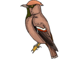 Sticker Custom Preview Image #016396 Animals Birds Bird Perched90