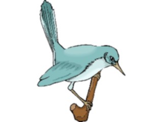Sticker Custom Preview Image #016400 Animals Birds Bird Perched94