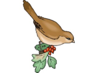 Sticker Custom Preview Image #016405 Animals Birds Bird Perched99