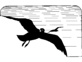 Sticker Custom Preview Image #016418 Animals Birds Birds2