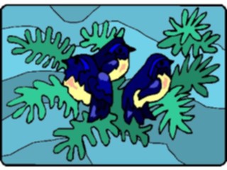 Sticker Custom Preview Image #016422 Animals Birds Birds6