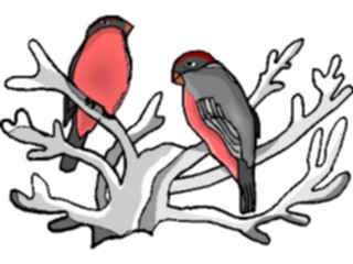 Sticker Custom Preview Image #016429 Animals Birds Birdsin Tree