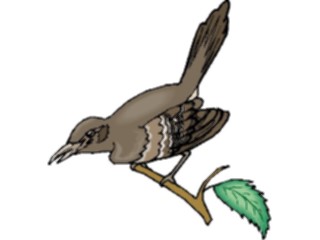 Sticker Custom Preview Image #016437 Animals Birds Blackbird2