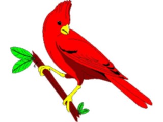 Sticker Custom Preview Image #016451 Animals Birds Cardinal1