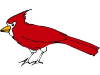 Sticker Custom Preview Image #016452 Animals Birds Cardinal2